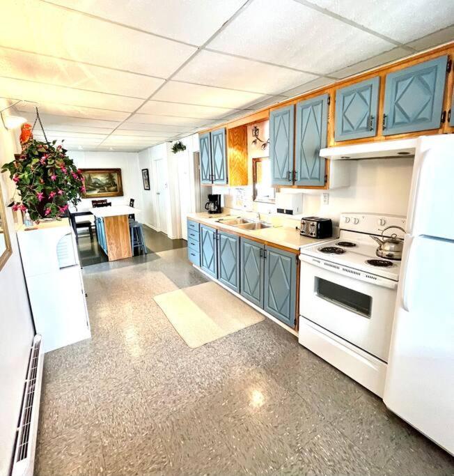 Les Appartements Du Vieil Edifice Metabetchouan-Lac-a-la-Croix ภายนอก รูปภาพ